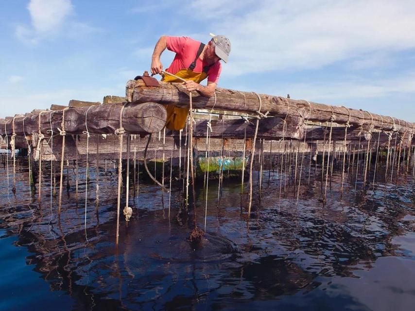 Preparando las cuerdas de una batea. https://mexillondegalicia.org