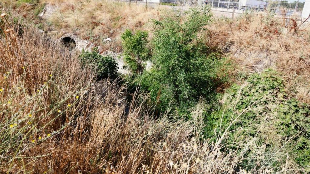 Arroyo de los prados.