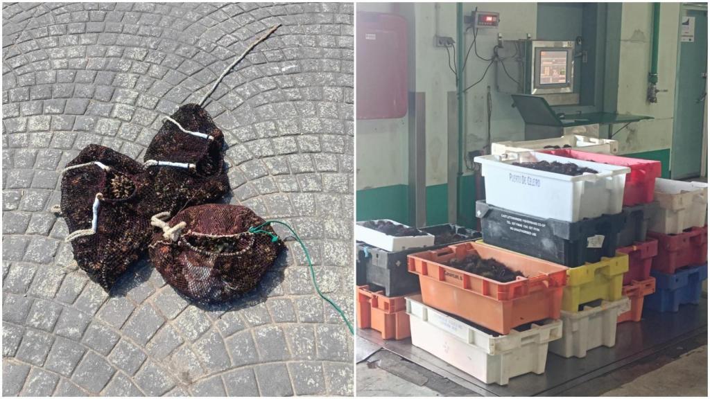 Imágenes del género decomisado.