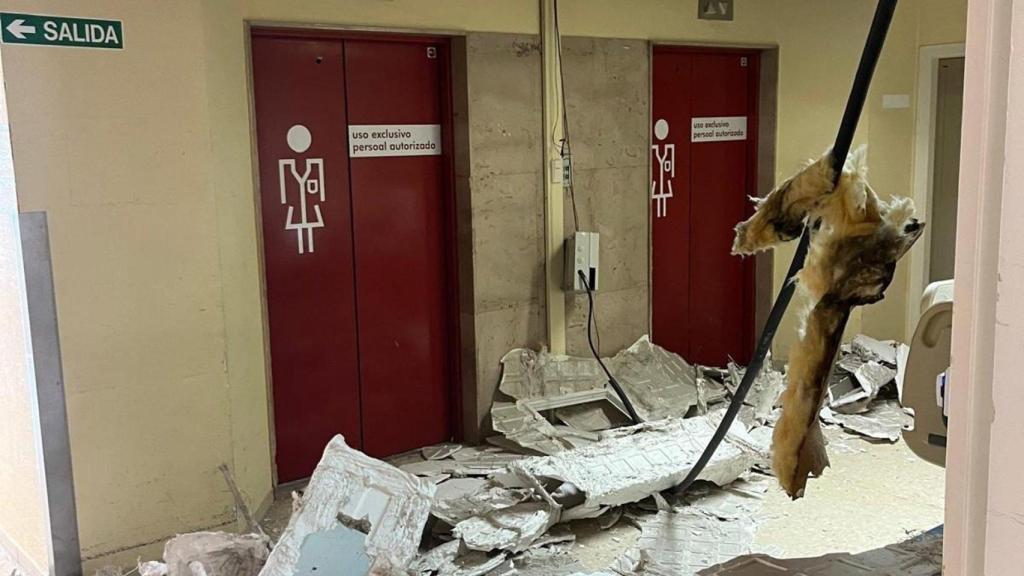 El Hospital Materno Infantil de Ourense sufre un nuevo desprendimiento de un falso techo