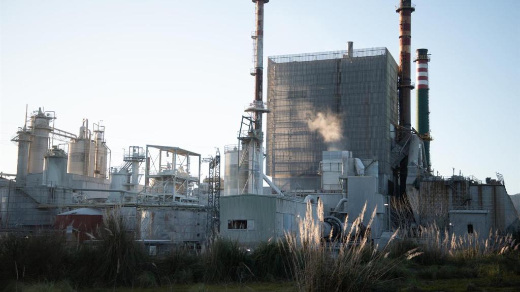 El Supremo avalar la concesión a la fábrica de Ence en Pontevedra hasta 2073