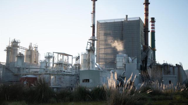 El Supremo avalar la concesión a la fábrica de Ence en Pontevedra hasta 2073