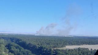 Incendio forestal en Coca