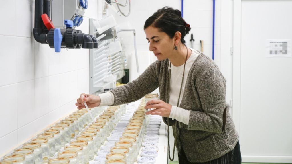 Laura Prieto es investigadora en el Instituto de Ciencias Marinas de Andalucía (ICMAN-CSIC).