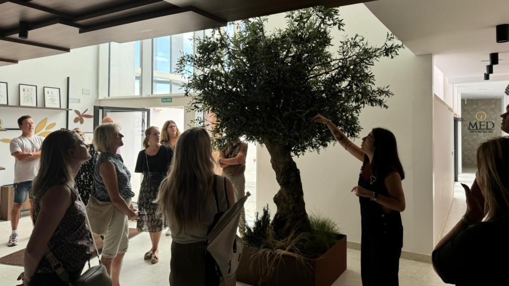 Experiencia de oleoturismo en O-Med Oil.