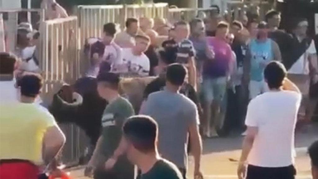 Fotografía del Toro de Fogato del pasado año