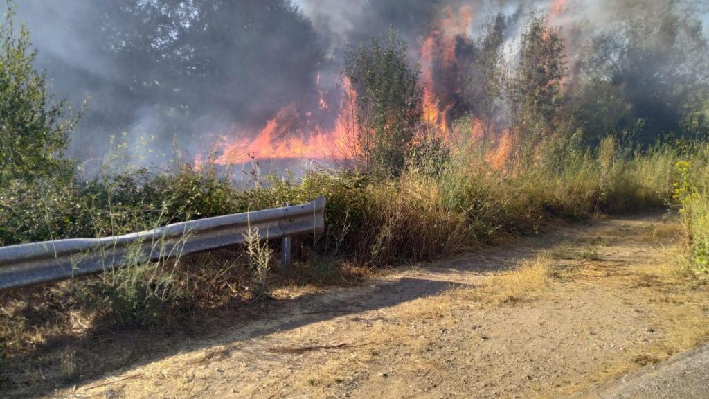 Incendio del matorral
