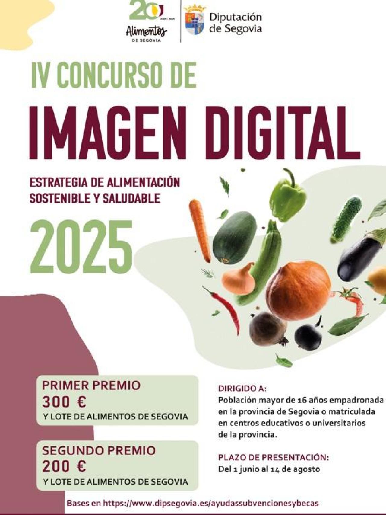 Cartel IV Concurso de imagen digital