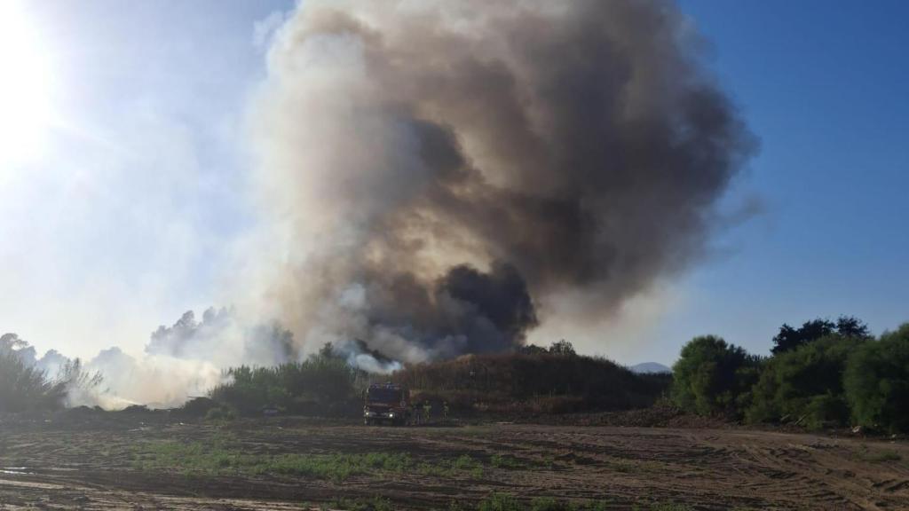 Incendio forestal en el polígono Guadalhorce