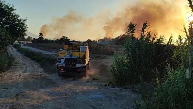 Fuego en Málaga capital: declarado un incendio forestal en el polígono Guadalhorce