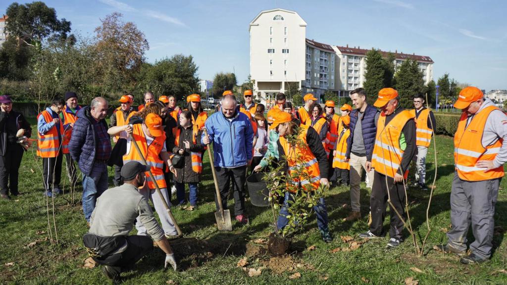 Imagen de una plantación de árboles de 2023.