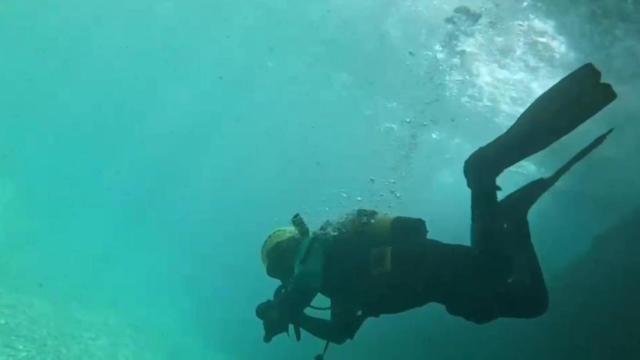 Dispositivo de búsqueda de Cole Henderson.