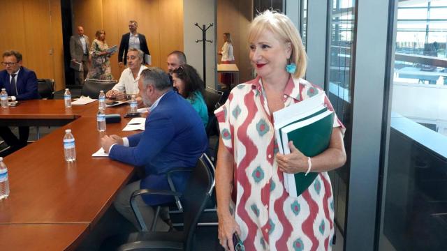 La consejera de Industria, Comercio y Empleo, Leticia García, preside el Consejo General de Empleo de Castilla y León.