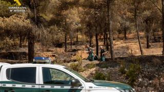 Los agentes de la Guardia Civil durante la investigación de las causas del incendio en Ibi.