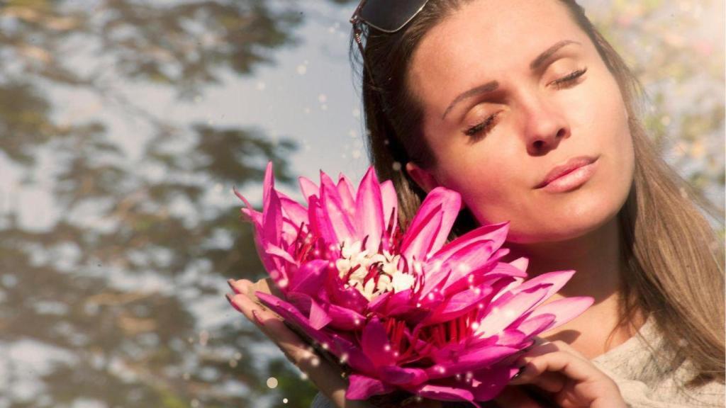 ¿Qué es la Ashwagandha y por qué deberías probar este suplemento alimenticio?