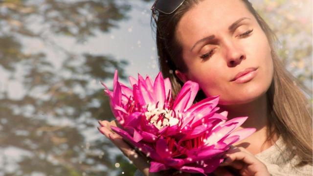 ¿Qué es la Ashwagandha y por qué deberías probar este suplemento alimenticio?