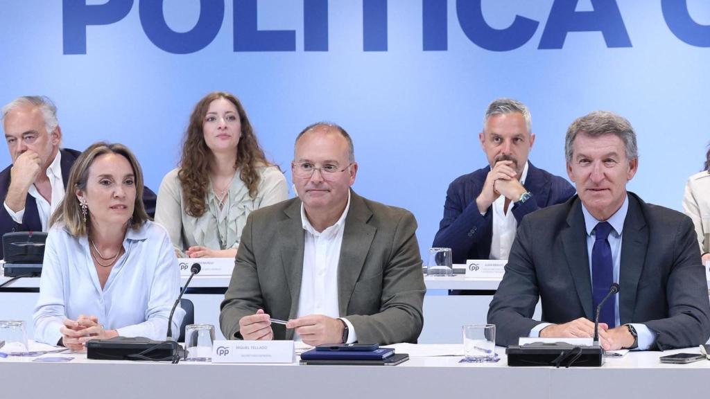 Reunión del Comité Ejecutivo Nacional del partido, a 28 de julio de 2025, en Madrid (España)