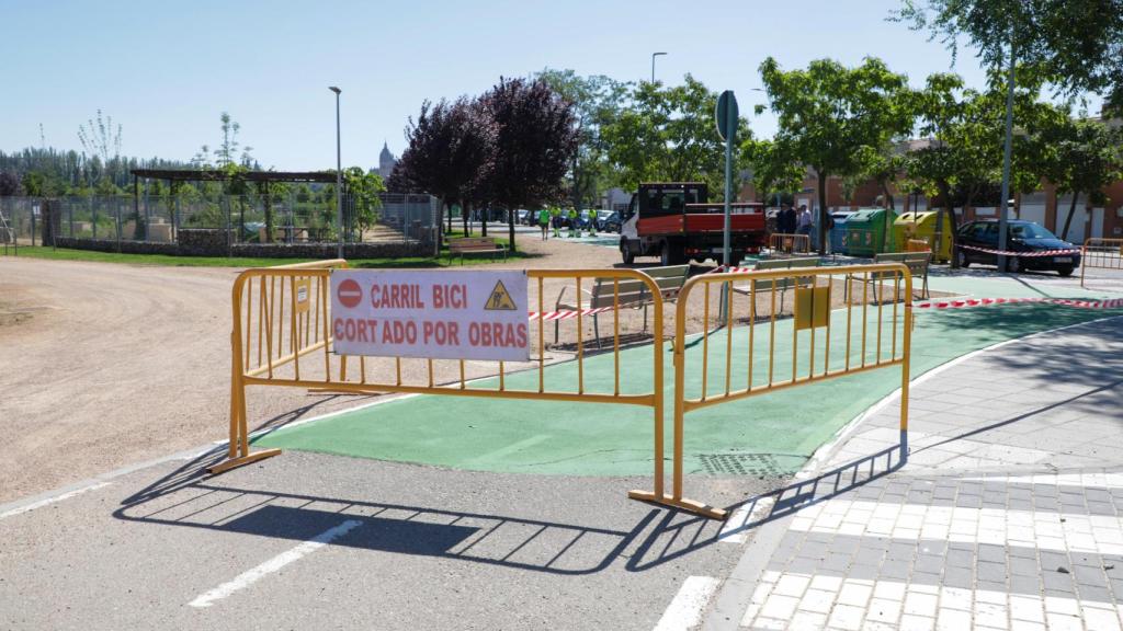 Carril bici en el tramo de la avenida del Padre Ignacio Ellacuría