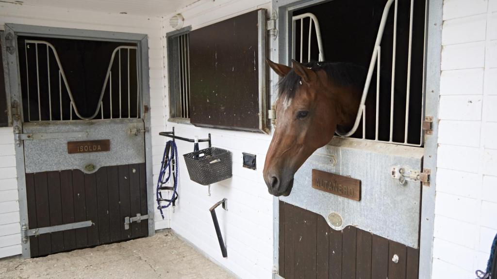 Fotografía del rodaje de la serie 'Pura sangre'.