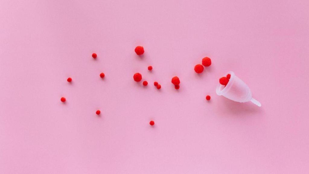 copa menstrual enna cycle original