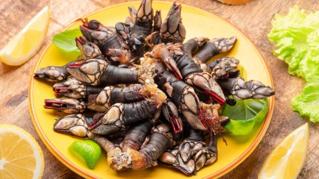 Un plato de percebes