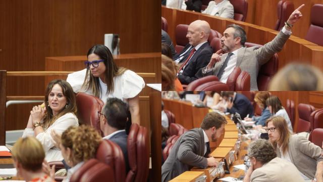 Tres instantáneas del pleno en el que se aprobó la Ley de Publicidad Institucional. A la izquierda, bancada socialista. A la derecha, arriba, grupo de Vox. Abajo, Suárez Arca (Vox), Pablo Fernández (Podemos) y Pedro Pascual (Por Ávila), conversan en el pleno de las Cortes