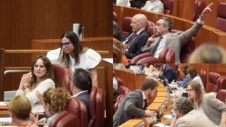 Tres instantáneas del pleno en el que se aprobó la Ley de Publicidad Institucional. A la izquierda, bancada socialista. A la derecha, arriba, grupo de Vox. Abajo, Suárez Arca (Vox), Pablo Fernández (Podemos) y Pedro Pascual (Por Ávila), conversan en el pleno de las Cortes