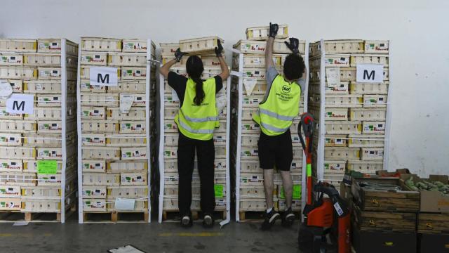 Dos voluntarios en un banco de alimentos.