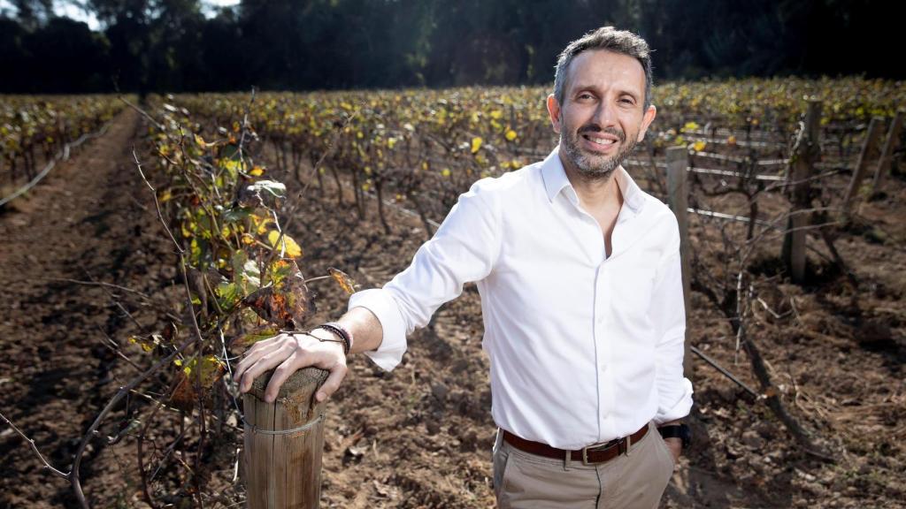 Sergio Fuster, CEO de Raventós Codorníu.