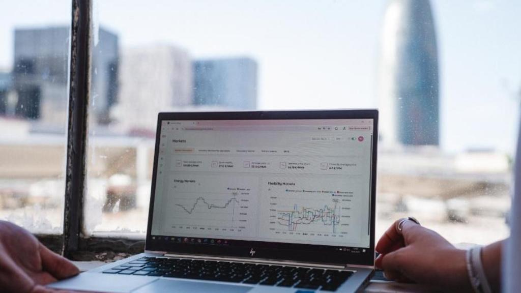 SaaS de Bamboo Energy.