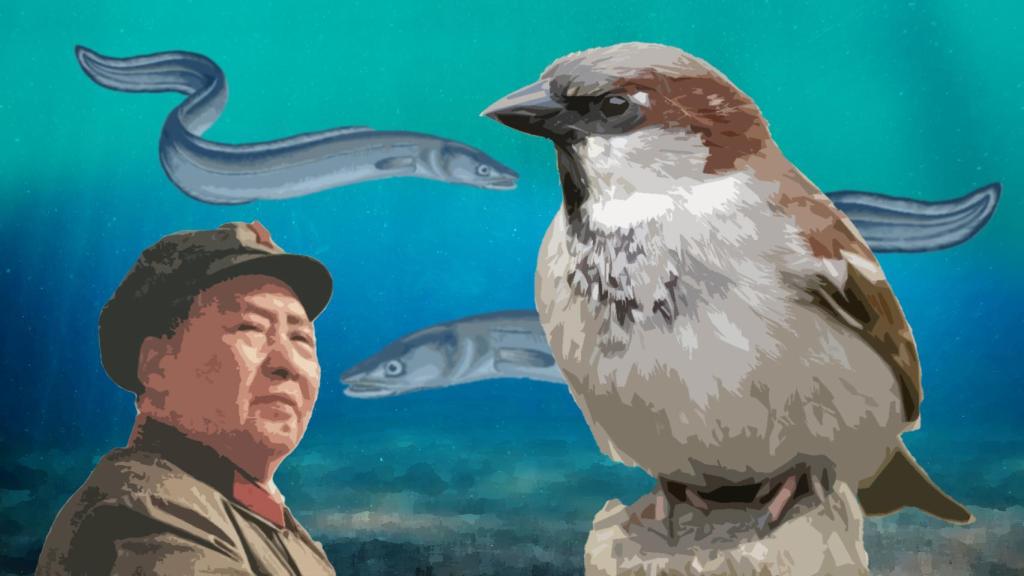 Diseño: F. D. Quijano