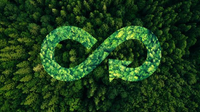 La economía circular como palanca de transformación