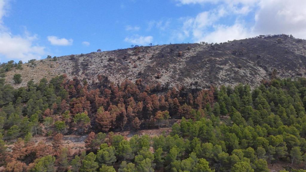 Punto donde comenzó el fuego.