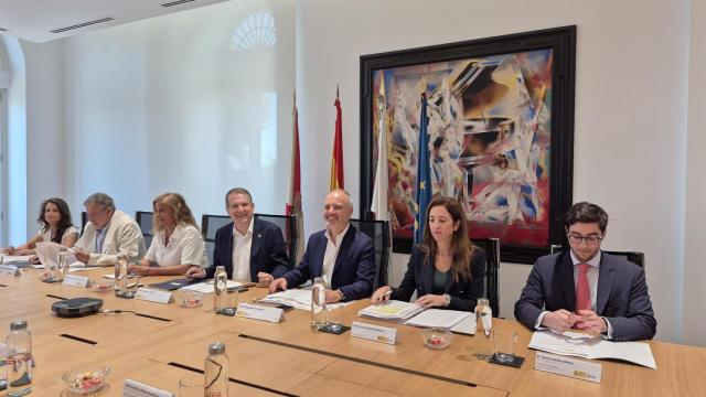 Imagen del pleno de Zona Franca de Vigo.