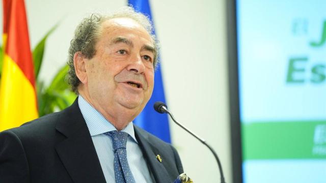 Imagen del Hermano Mayor de la Macarena.