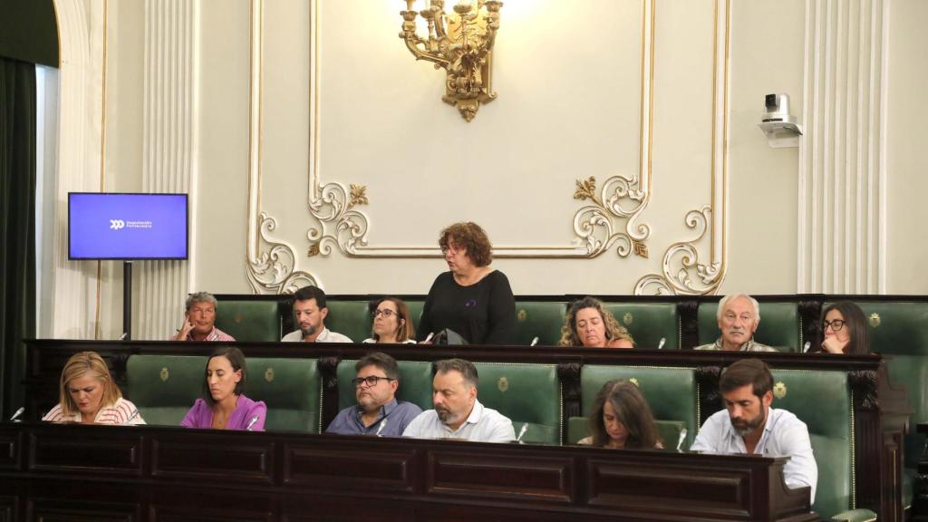 Imagen del Pleno de la Diputación de Pontevedra.