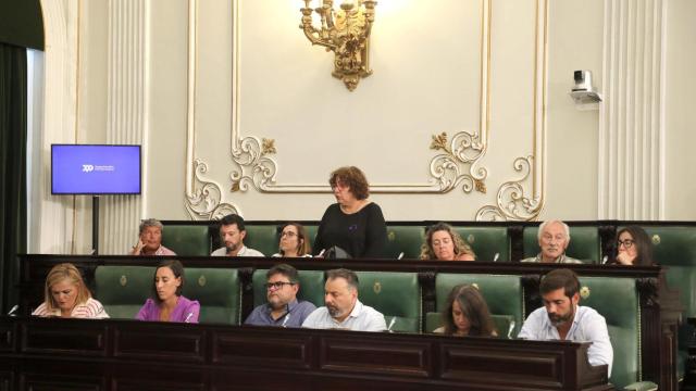 Imagen del Pleno de la Diputación de Pontevedra.