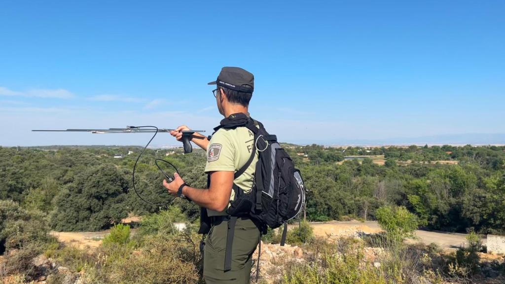 El animal lleva dos semanas moviéndose por la zona de Villalbilla, Corpa, Santos de la Humosa y Anchuelo