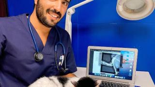 Andrés Santiago, veterinario, denuncia: Se están vendiendo los medicamentos en Wallapop y en Mil anuncios