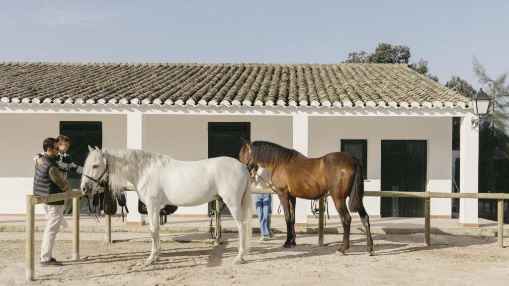 Los paseos a caballo de La Bobadilla.
