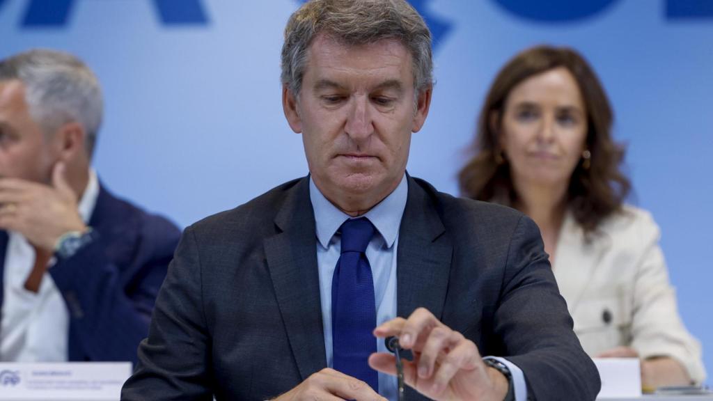 El líder del PP, Alberto Núñez Feijóo, en una imagen de archivo.