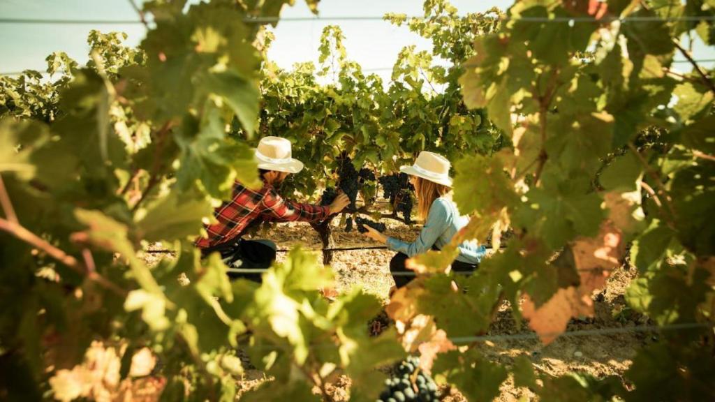 El equipo de Experiencias Únicas se encarga de guiar a los visitantes a través de actividades que les permiten conectar con el destino desde un turismo más consciente y transformador.