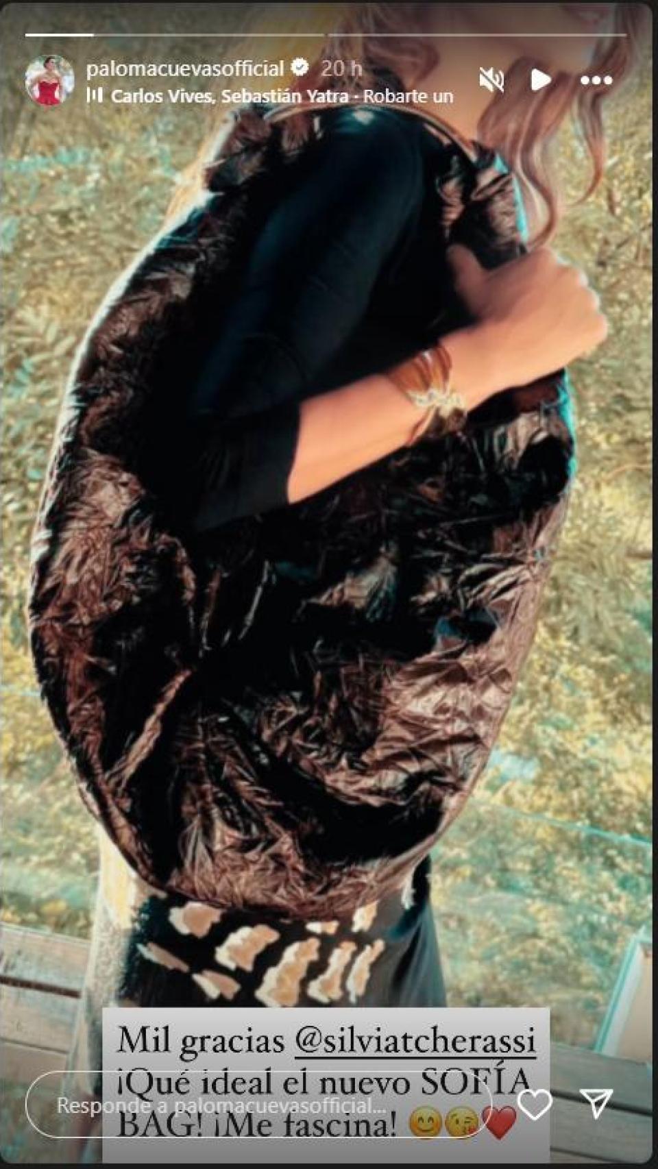 Paloma Cuevas luce un bolso de Silvia Tcherassi en sus redes sociales.