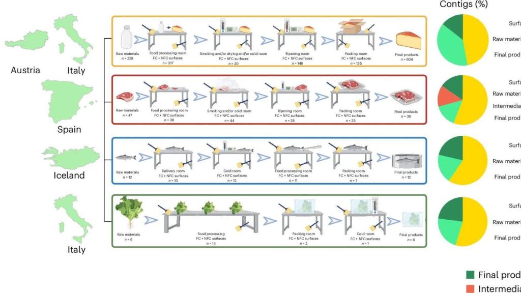 Imagen de la publicación de la investigación