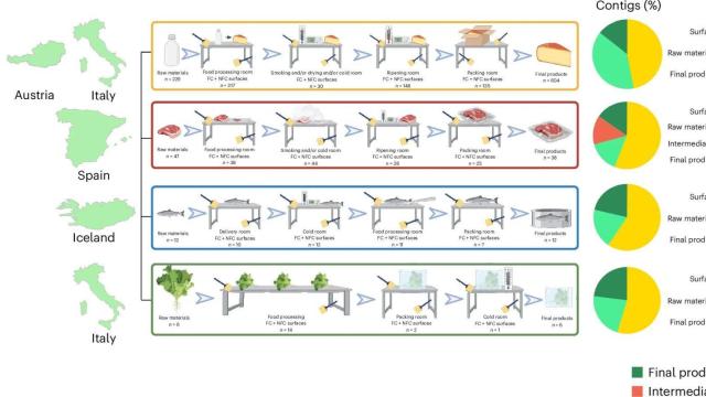 Imagen de la publicación de la investigación