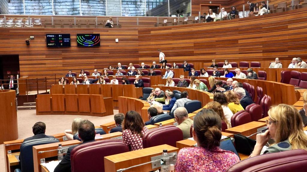Pleno de las Cortes de Castilla y León