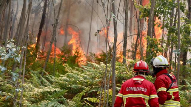 Dos bomberos portugueses tratan de controlar el fuego que arrasa el norte de Portugal