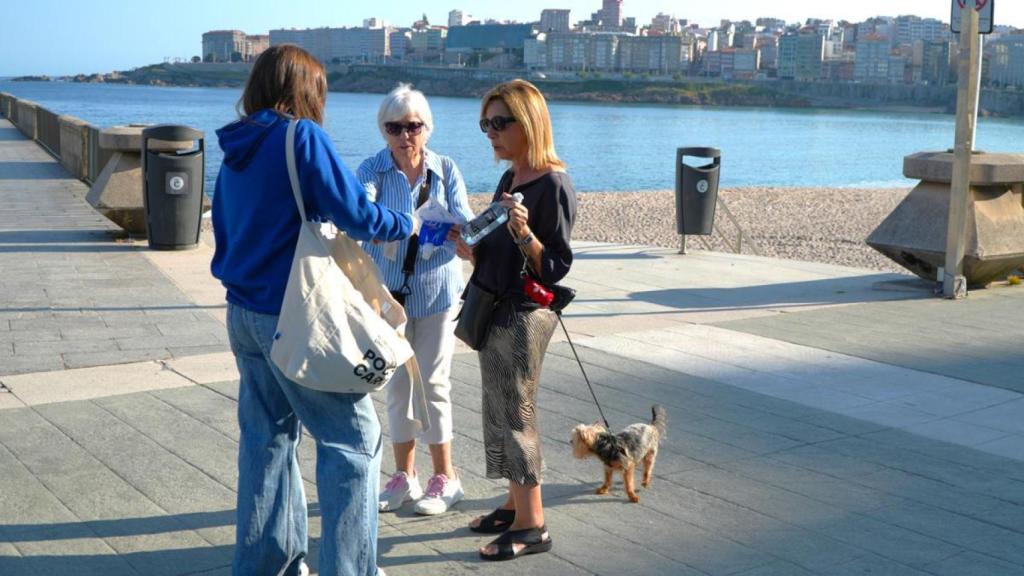 A Coruña cierra la campaña contra los excrementos de perro en la calle con 73 sanciones