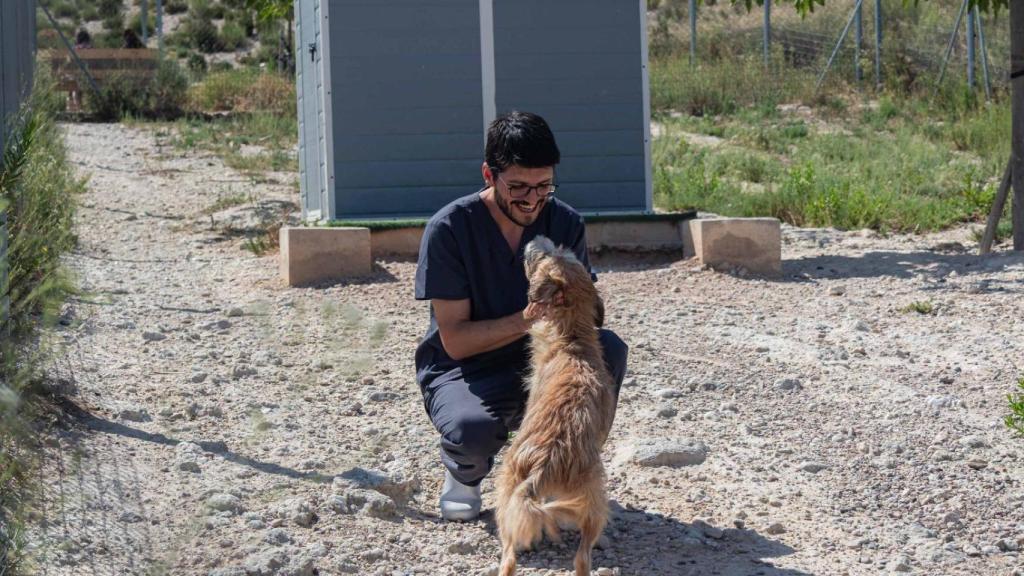 Uno de los perritos del centro.