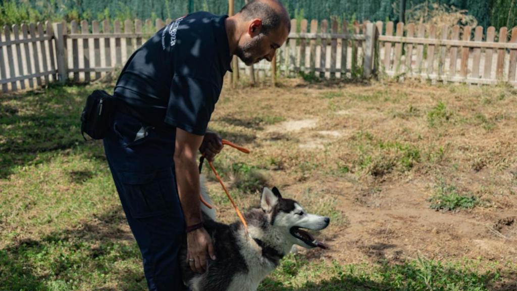 Un perrito del centro, junto a un trabajador.